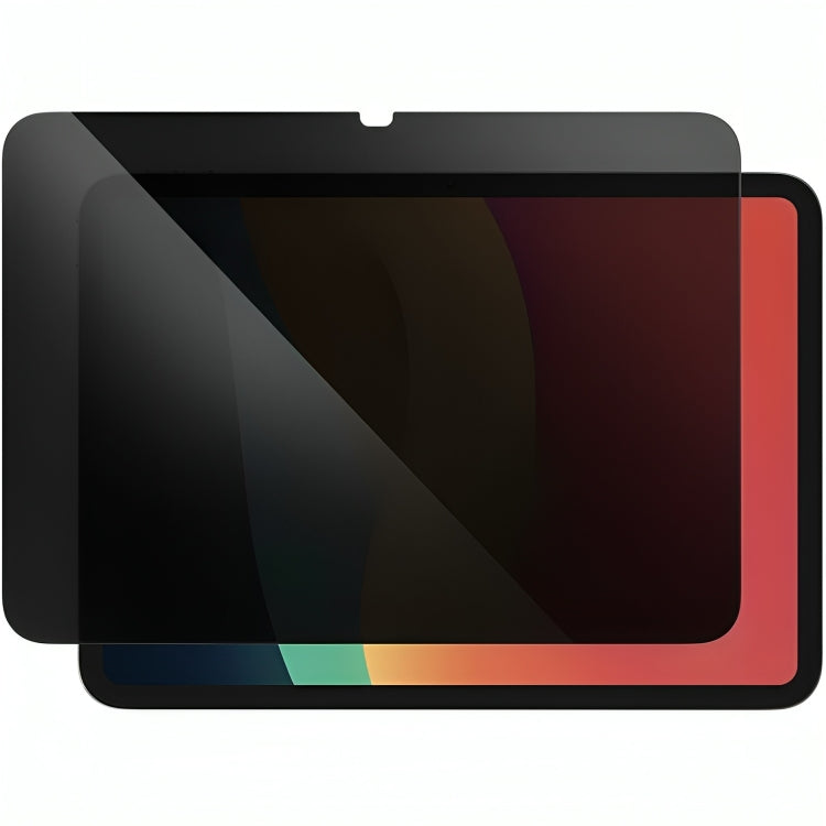 AMAZINGTHING iPad Pro 13'' (M4) Radix Privacy Glass