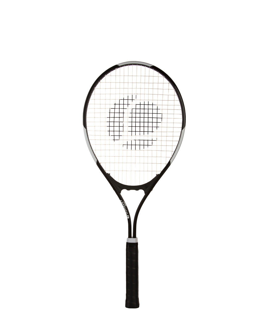 adult badminton aleemaz.com 