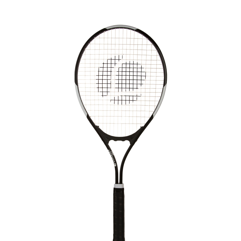 adult badminton aleemaz.com 