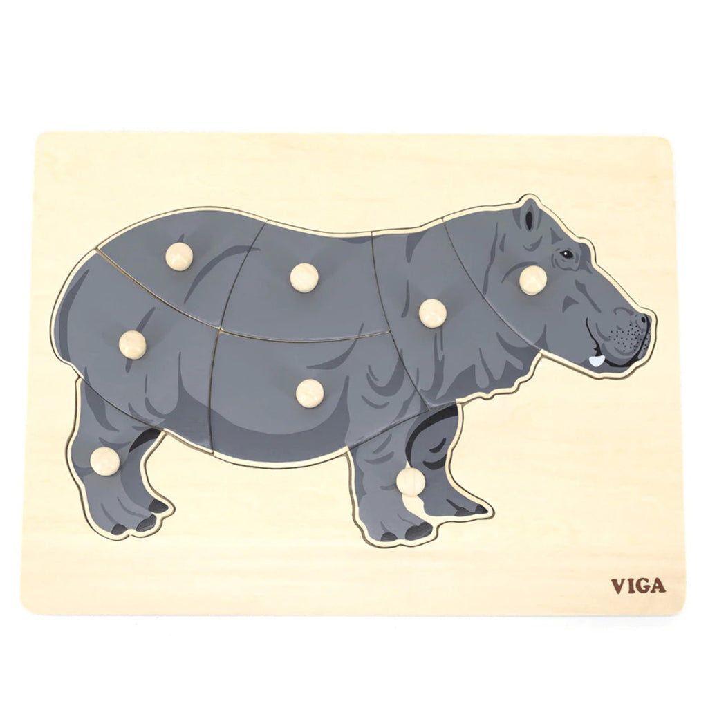 montissori hippo aleemaz.com 