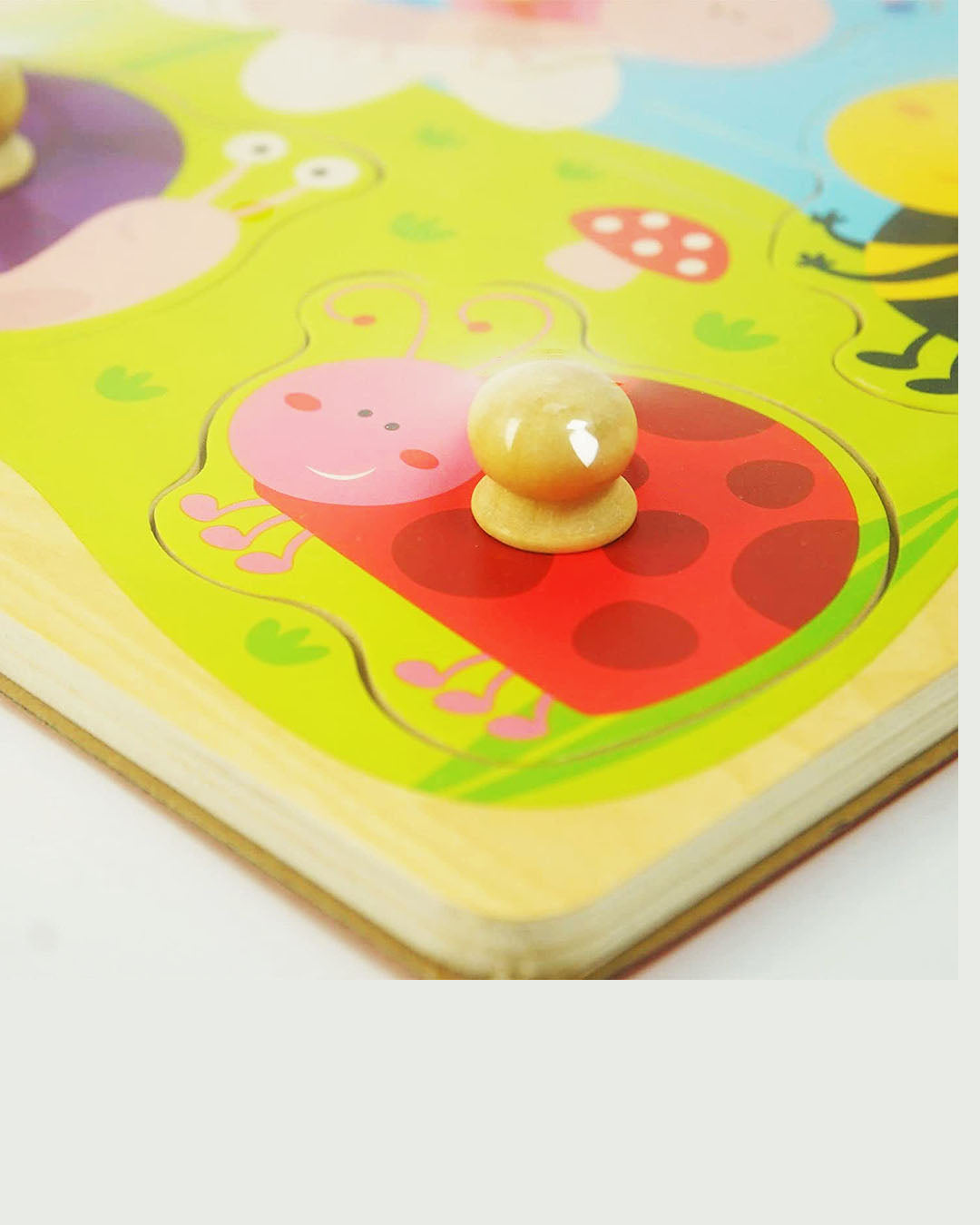 Insect puzzle aleemaz.com 