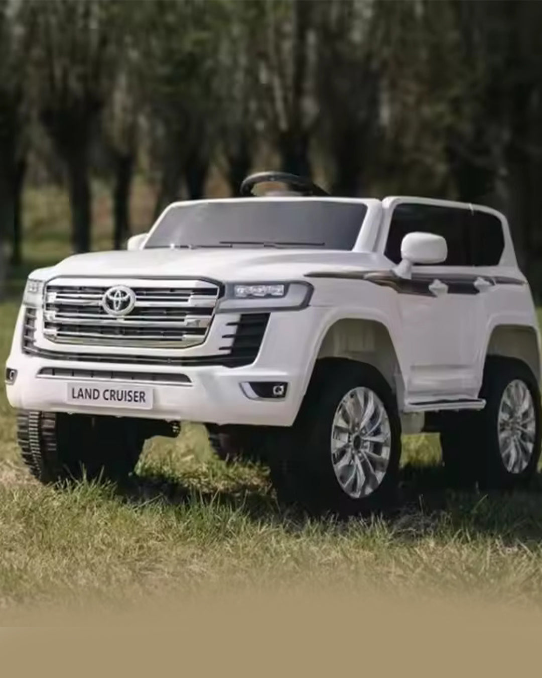 LAND CRUISER  aleemaz.com