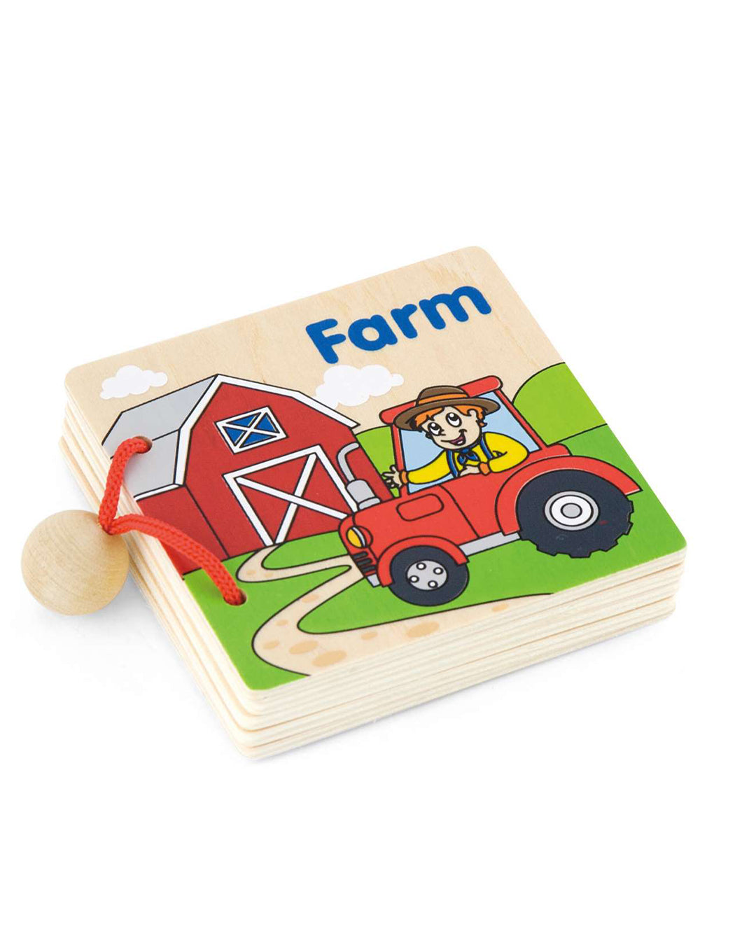 My First Book 12Pcs/Display - Viga