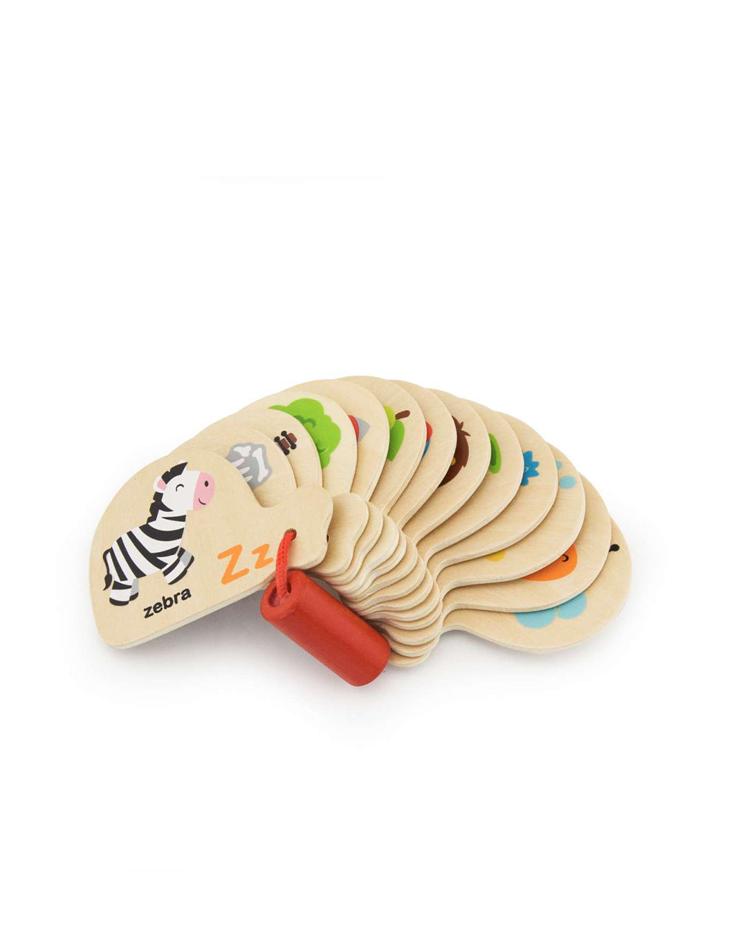 Alphabet display aleemaz.com 