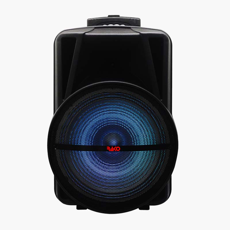 Rako SoundTech Pro Bass+ with 2 Mic.