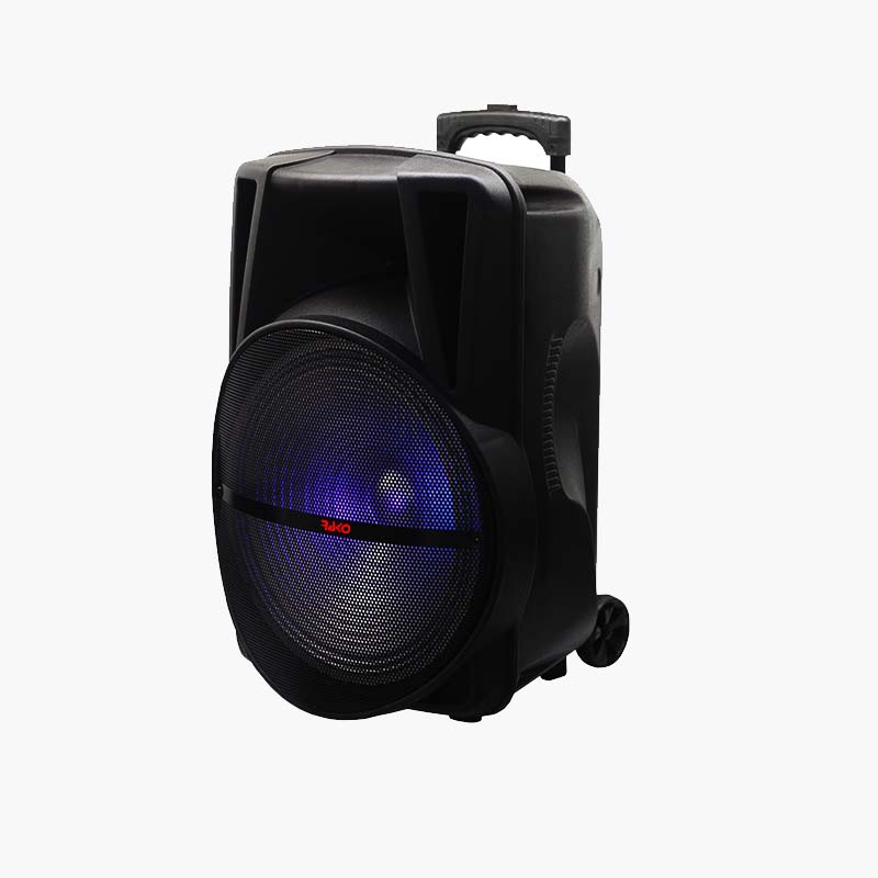 Rako SoundTech Pro Bass+ with 2 Mic.