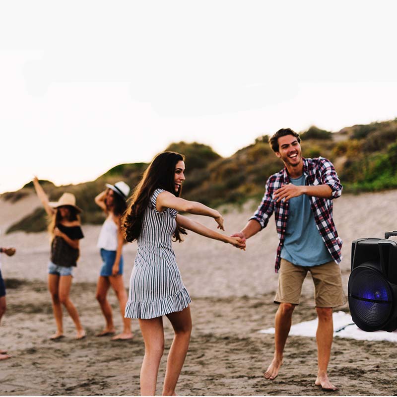 Rako SoundTech Pro Bass+ with 2 Mic.